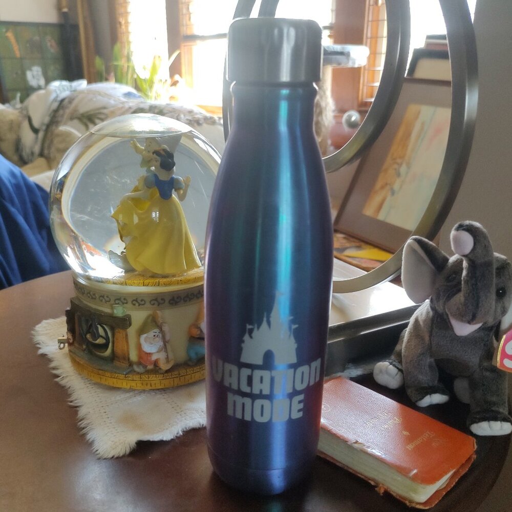 Vacation mode vacation mode water bottle